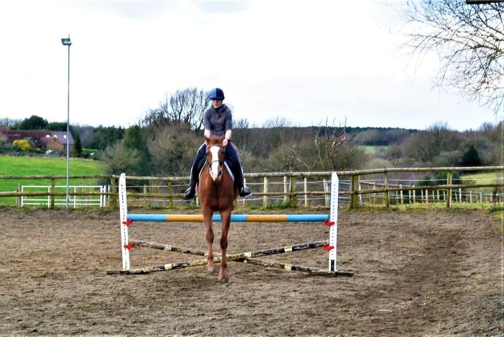 Hillfields Farm Barn - A Rural Equestrian Escape Lägenhet Coventry Exteriör bild